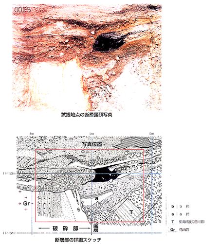 �f�w�I���ʐ^�A�f�w���̏ڍ׃X�P�b�`