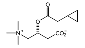 CPAC�̍\����