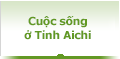 Cuộc sống ở Tỉnh Aichi