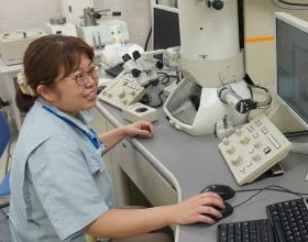 無機材料の画像