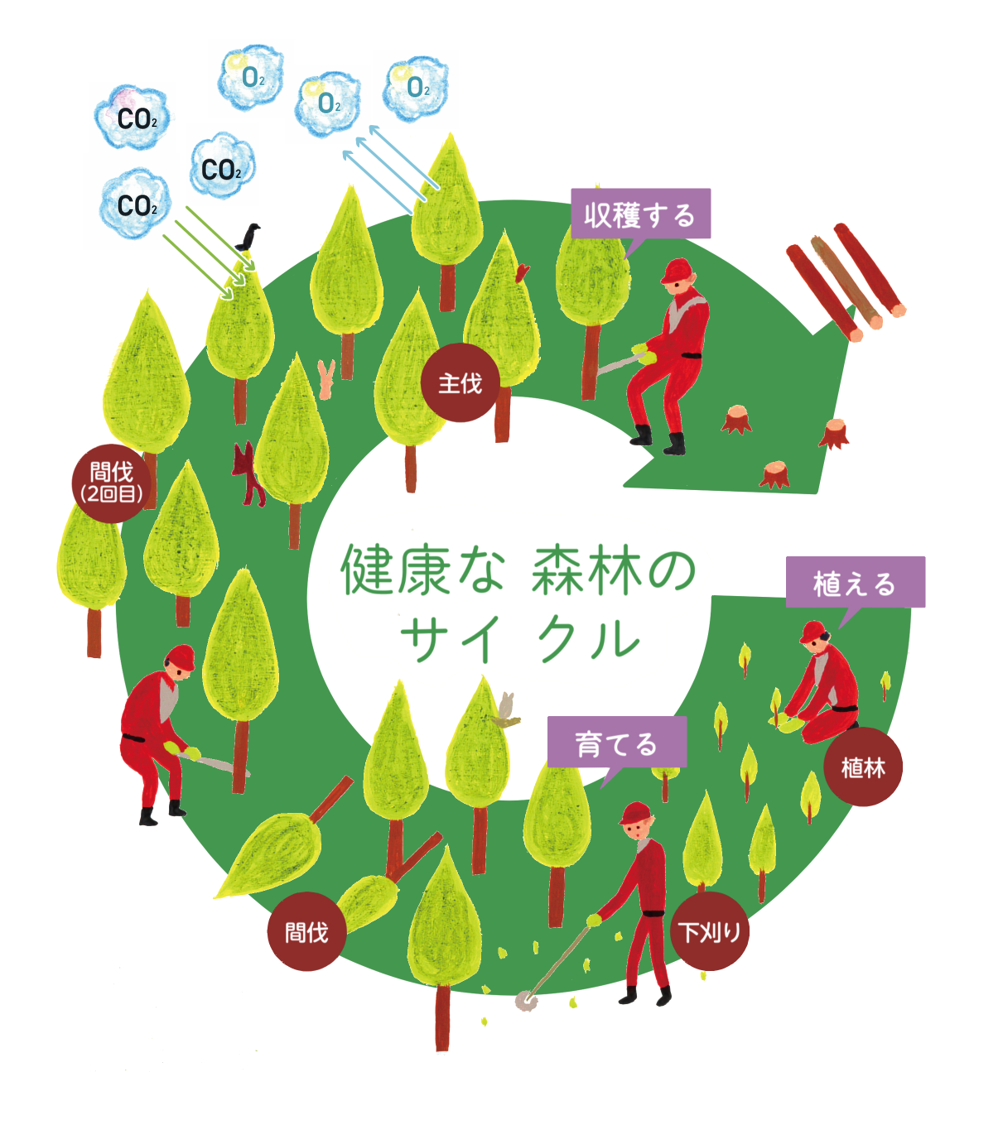 木材の利用促進