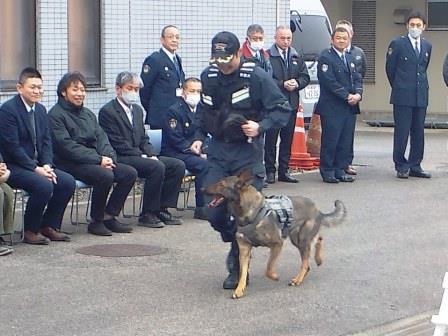 警備犬の訓練を見学している様子