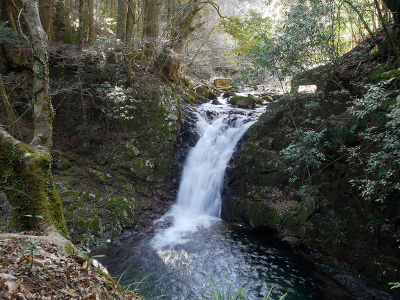 膳棚淵の滝