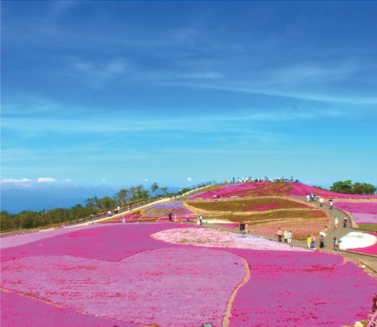 茶臼山高原の風景写真