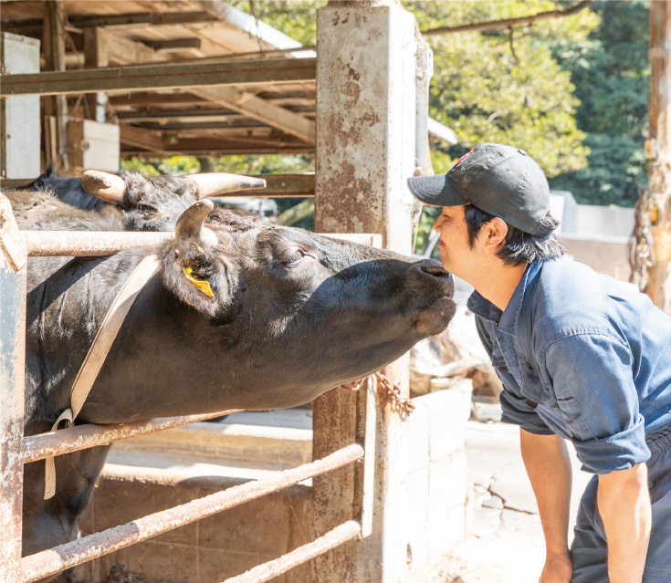 鳳来牛と生産者さんの写真