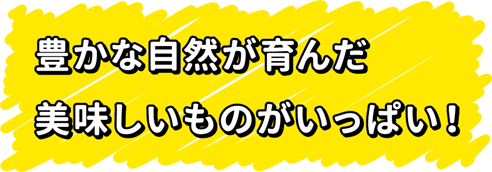豊かな自然が育んだ美味しいものがいっぱい!