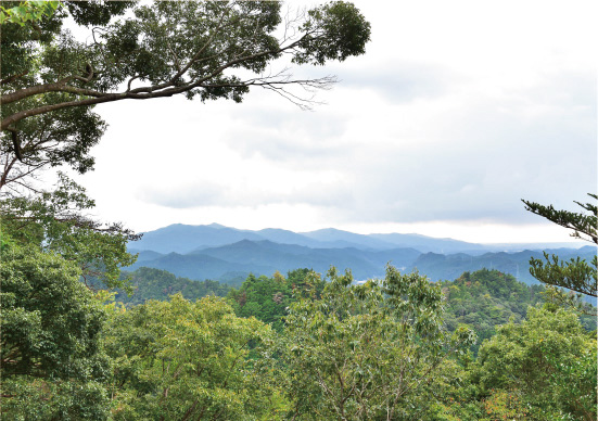 東三河の山林風景の写真