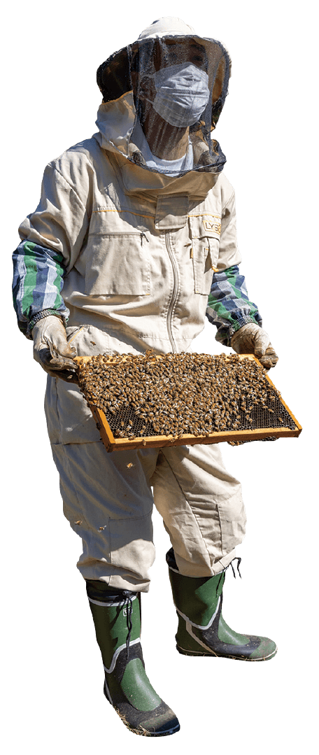 防護服の全身写真