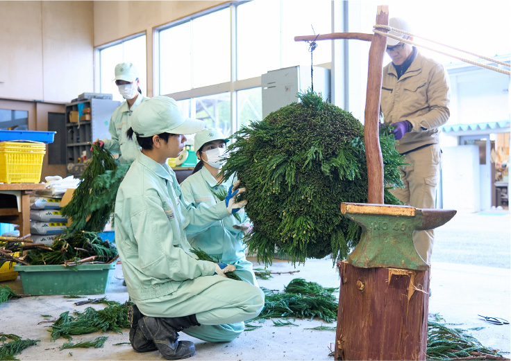 杉玉に杉の木を取り付ける生徒たち