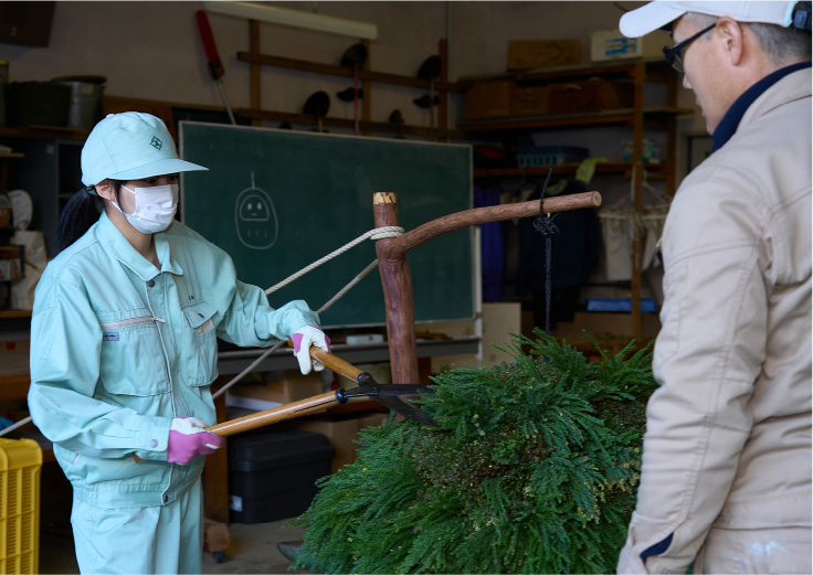 取り付けた杉をカットする生徒