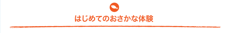 はじめてのおさかな体験