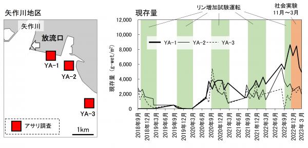 矢作川地区におけるアサリ現存量の推移