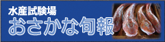おさかな旬報