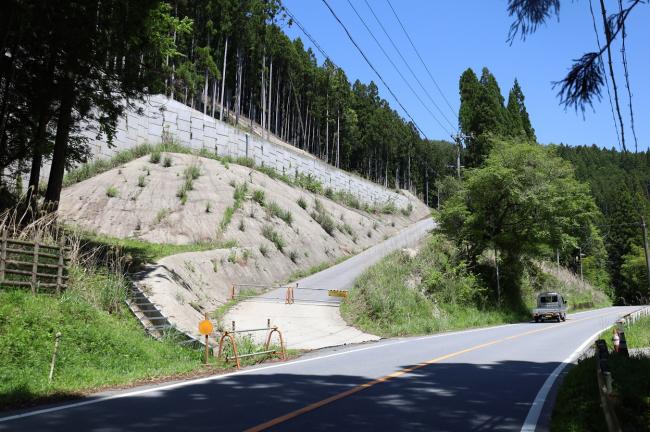 付替県道設楽根羽線の擁壁と作業道の様子。