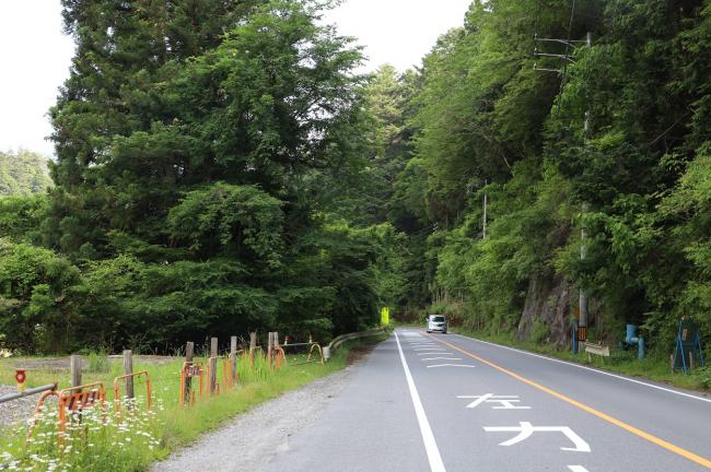 道路右側は山を削った地形、左側は平地で木々が生えている。