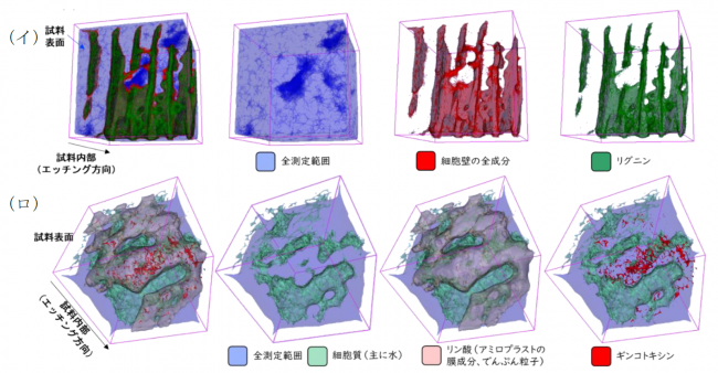 各成分が浸透する様子