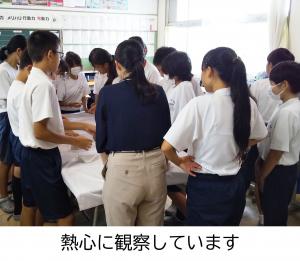 博物館に行っても展示ケース越しでしか見られませんが、今回は触ることもできます。みなさんとても熱心に観察していました。
