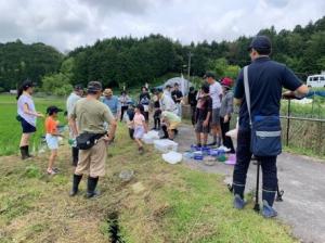 捕まえたヤゴ等を観察する様子