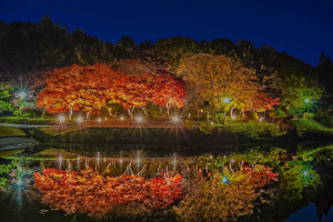 東海市_画像