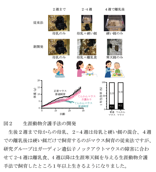 生涯動物介護手法の開発