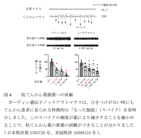 抗てんかん薬創薬への貢献