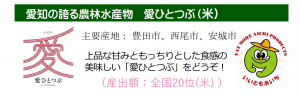 10.11月愛ひとつぶ