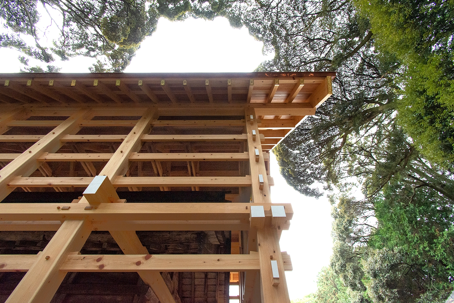 星野神社 覆殿 外観
