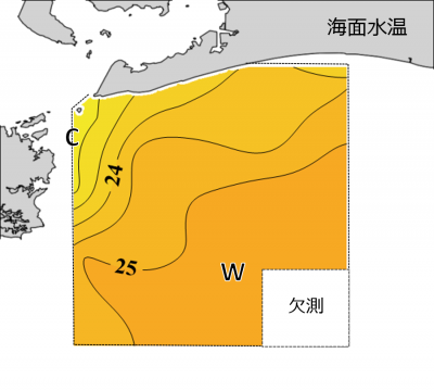 海面水温