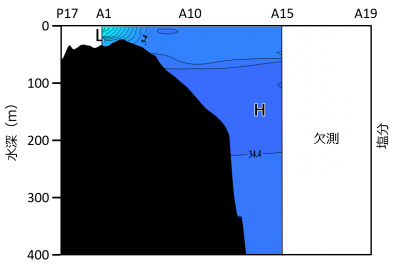 鉛直塩分