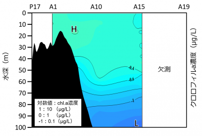 鉛直クロロフィルa濃度