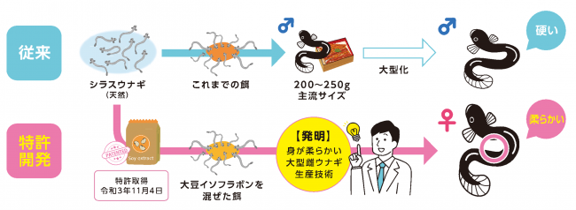 技術　模式図