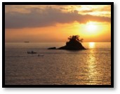 株式会社篠島お魚の学校