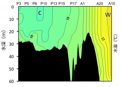 鉛直水温