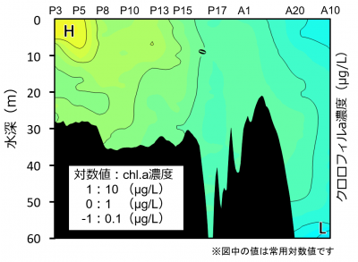鉛直クロロフィルa濃度