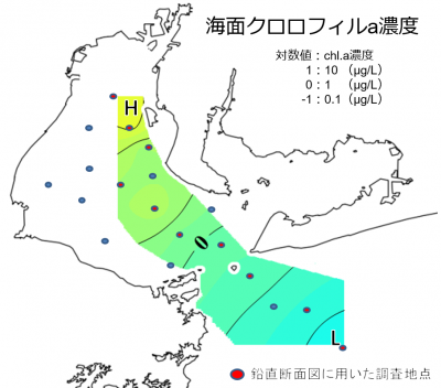 水平クロロフィルa分布