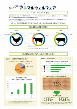 第6部銅5