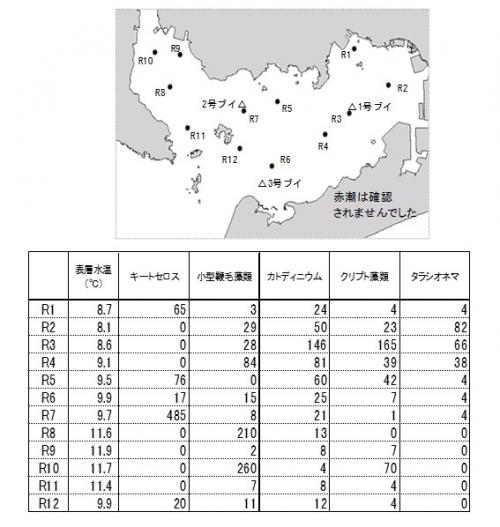 三河湾赤潮情報