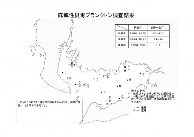 麻痺性貝毒プランクトン調査結果20250106