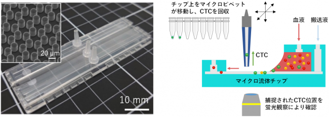 CTC回収方法