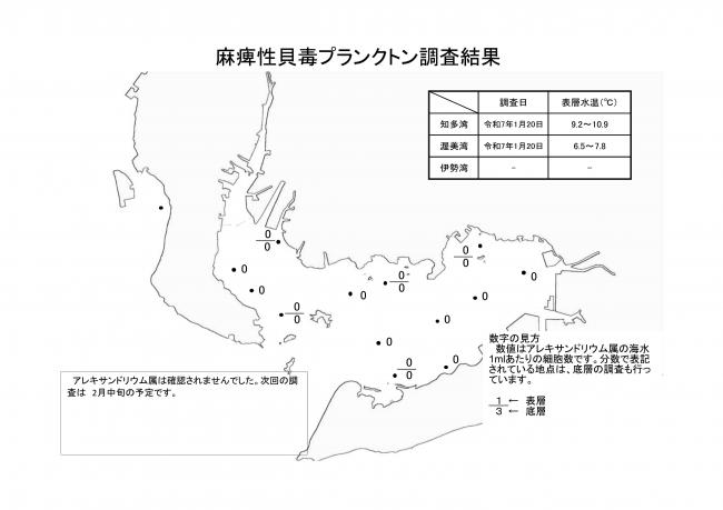 麻痺性貝毒プランクトン調査結果20250120