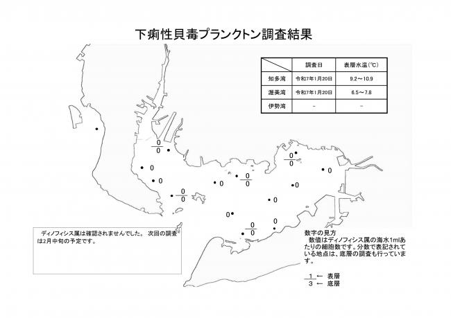 下痢性貝毒プランクトン調査結果20250120