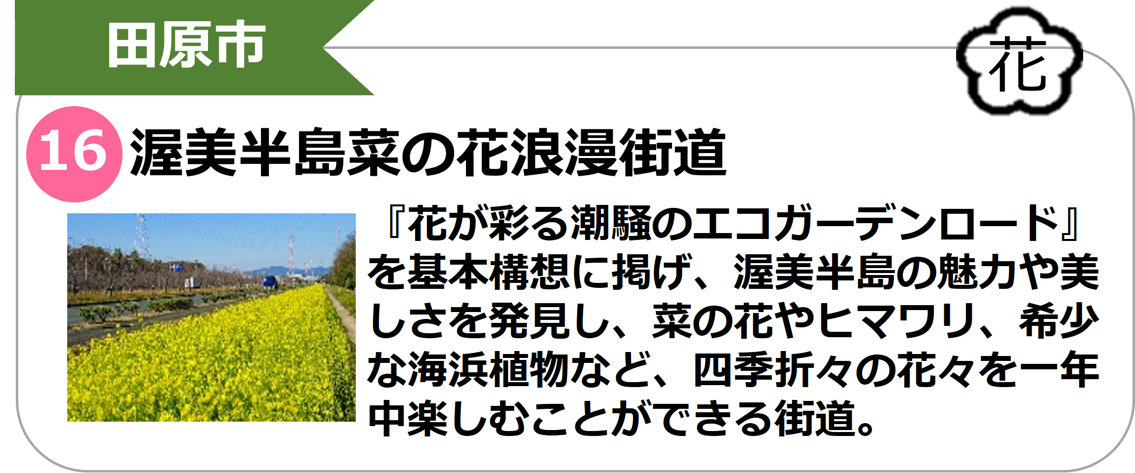 渥美半島菜の花浪漫街道