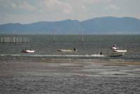 【一色町】アサリ漁の風景1