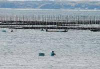 【一色町】一色港沖の海苔養殖とアサリを採る漁師