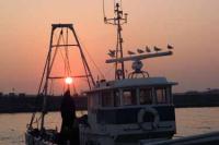 【一色町】一色港の夜明け（一色港）