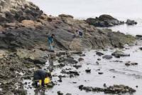 【吉良町】海辺で水遊び2（宮崎海岸）