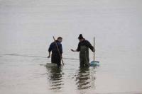 【吉良町】アサリ漁の風景1（宮崎海岸）