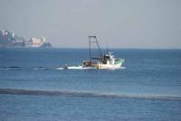 【吉良町】吉良港を出港する漁船