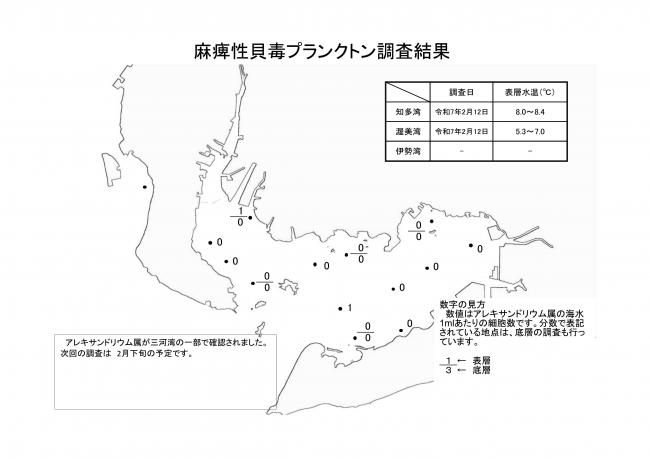 麻痺性貝毒プランクトン調査結果20250212