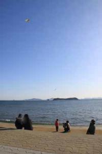 【蒲郡市】竹島海岸で凧揚げ